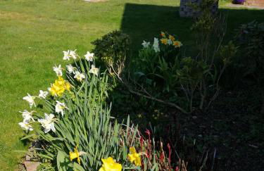 Wohnung Burgstaaken - Foto 17