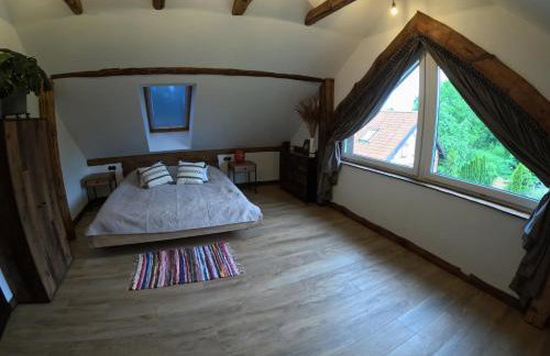 Miejski Las 8 - Foto 8