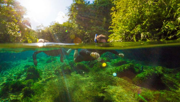 Esplorando i fondali del fiume