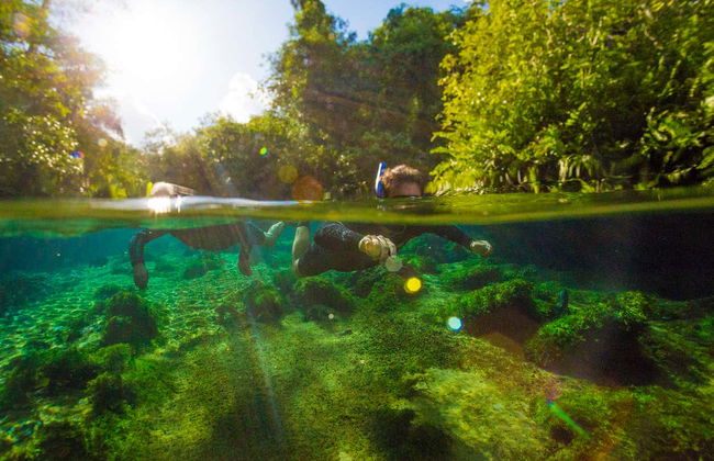 Snorkeling nei fiumi Prata e Olho d'Água - Photo 4