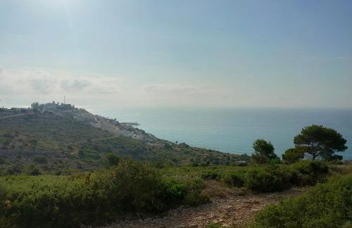 Casa tranquila en Peñíscola - Photo 1