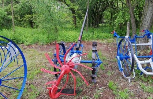 Maciejówka Gospodarstwo Agroturystyczne - Foto 42