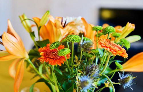 L'Infini Choletais - Netflix et Climatisation - Foto 19