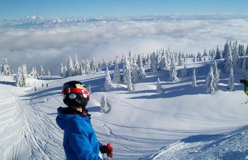 GITE "POM DE PIN" avec accès à la balnéo et piscine couverte - Libre du samedi au samedi - Foto 26