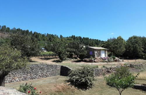 Stone House in France with Pool & Vineyards - Foto 8