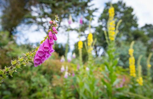 Gardeners Cottage by Group Retreats - Foto 14
