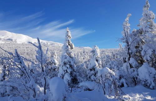 Studio Beethoven - Foto 37