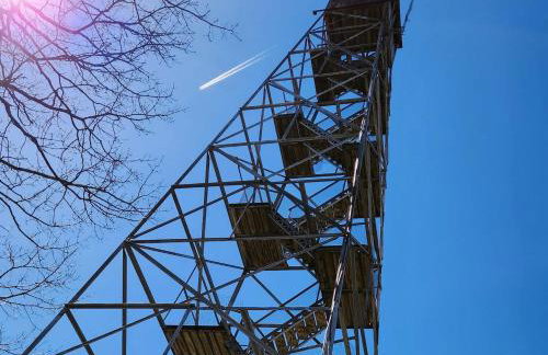 Stunning Views from the Fire Tower Cabin - Foto 11