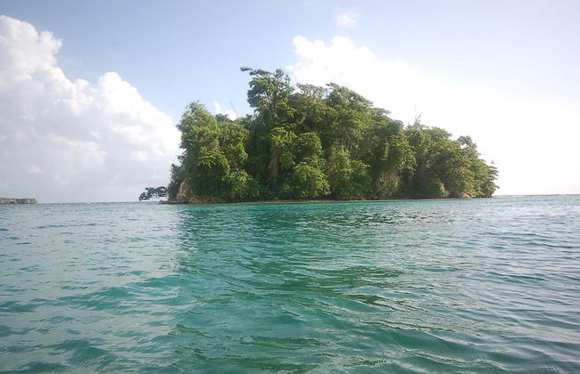 San Bar 6BR by Jamaican Treasures - Foto 49