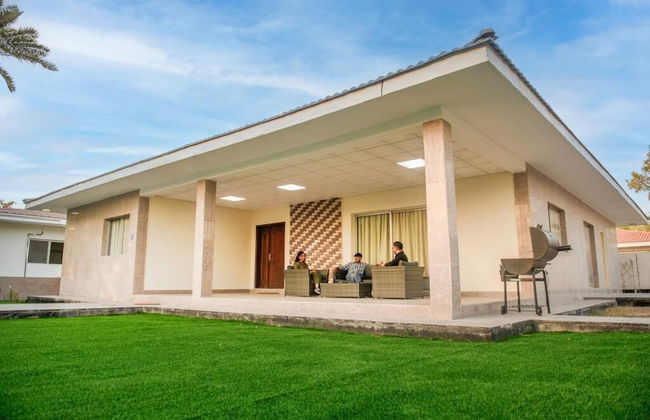 Nordic Gardens - Foto 51