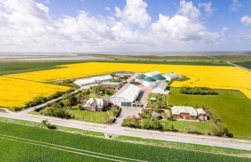 NORDSEE Bauernhof Familie Wulff FeWo "Südfall" - Foto 9