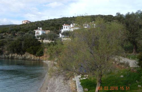 Argo - Mythos - Photo 22