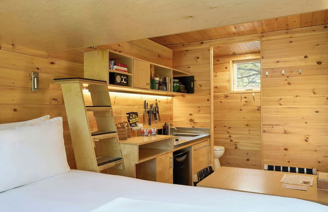 Postcard Cabins Starved Rock, Outdoor Collection by Marriott Bonvoy - Photo 15