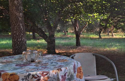 A Sense of Calm & Relaxation - Foto 41