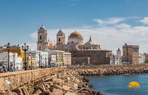 Tailor's Home by Cadiz Time - Foto 24