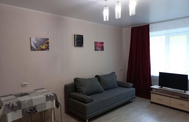 Apartment on Zavodskaya 1 - Foto 3