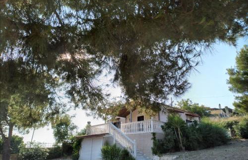 Nature Villa - Foto 47