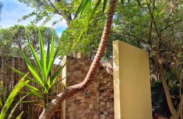 Il Richiamo del Mare - Foto 19