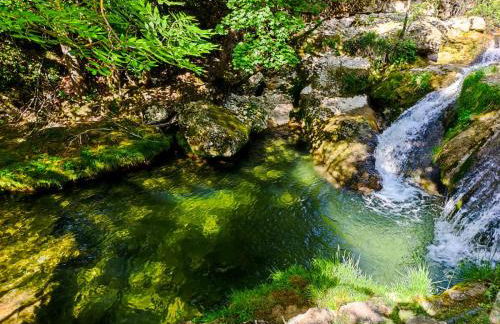 Suite Curry - Photo 27