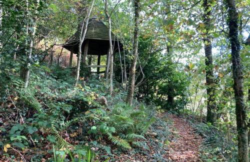 Pretty sunny cottage, Machynlleth - Photo 22