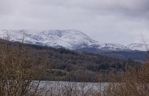 The Lake House - Quiet, Dog Friendly, By the Lake, Free Parking - Photo 24