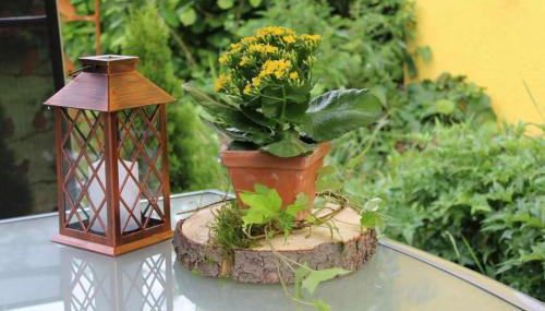 Ferienwohnung NatuRaum - Foto 3