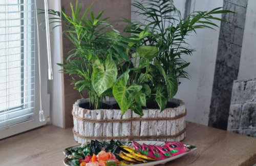 Apartament 55 z miejscem w garażu - Foto 19