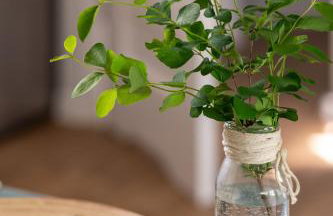 PRZYSTANEK DŁUŻEK - Photo 74