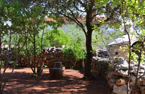 Apartments Basina - Foto 54