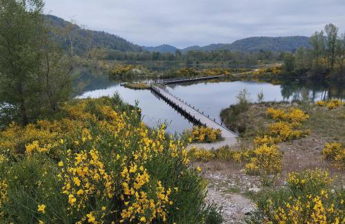 Appartement vue riviere - Foto 22