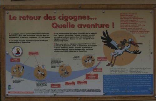 Gite duplex du vignoble Alsace - Foto 37