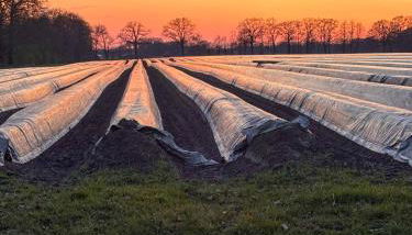 Gästezimmer auf dem Erlenhof - Foto 2