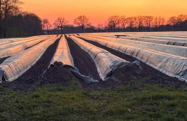 Gästezimmer auf dem Erlenhof - Foto 2