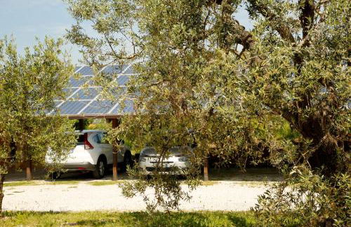 Agriturismo San Gregorio - Foto 64