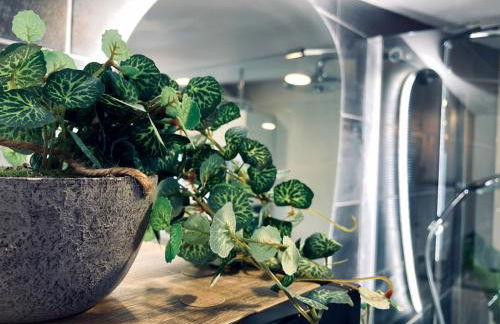 La bulle des Viennes MAISON CLIMATISEE - CHAMPAGNE - Foto 32