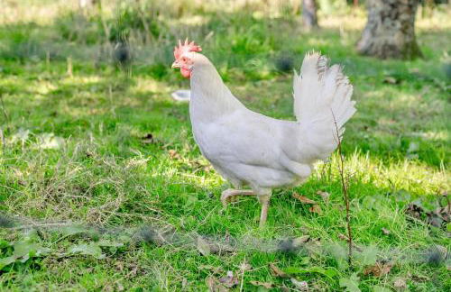 1 Bed in St. Austell oc-b33396 - Foto 18