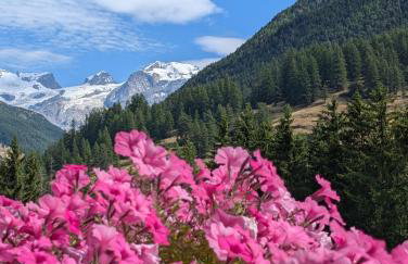 Maison Poluc - Maison Monte Rosa - Foto 9