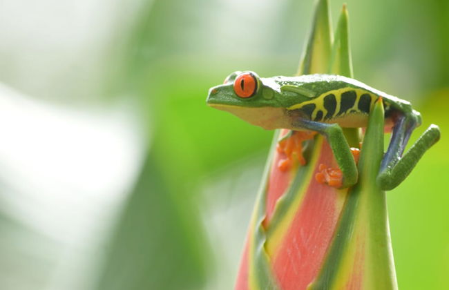 Cabañas del Rio - Foto 19