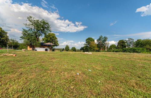 Forest Paradise - Foto 44