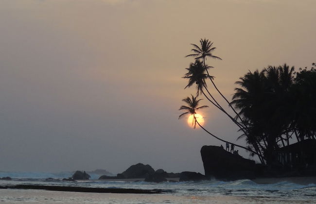 Coconut Treehouse - Foto 21