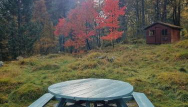 Our Log House in the woods - Foto 5