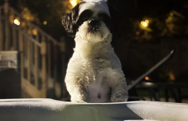 Hazel Cottage - Foto 33