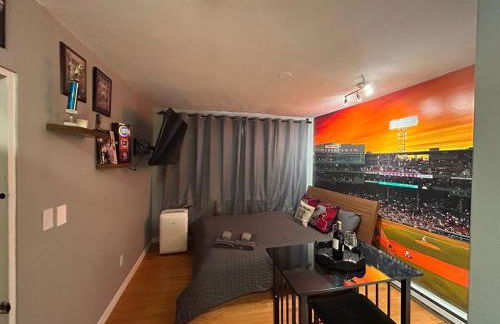 Downtown Boston Common Studio Theater District Chinatown Smart HDTV TD Garden Bruins Celtics Patriots - Foto 12