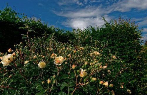 Villa Amagioia by Palazzo di Varignana - Foto 33
