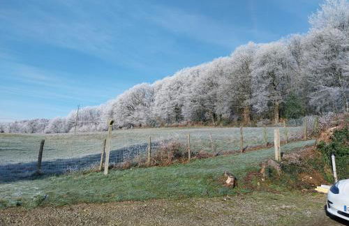 Gîte en lisière de forêt andaine - Foto 14