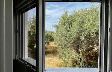 Relax under the mulberry tree - Foto 17