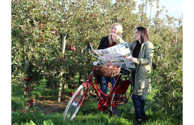 H a r m o n i e - Country House "An der Oste" - Foto 14