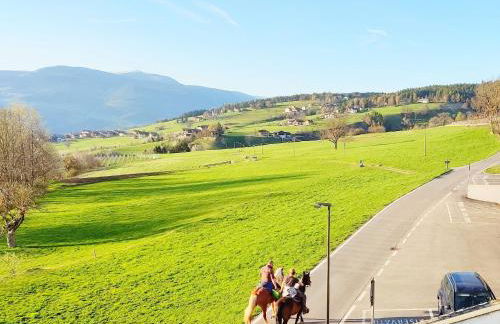 Vidora Apartments - Dolomites Escape in Alpe di Siusi (Seiser Alm) - Foto 13