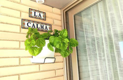 1ª LÍNEA DE PLAYA. Apartamento: LA CALMA - Foto 9