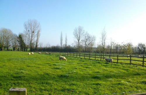 The Barton Annexe - Foto 28